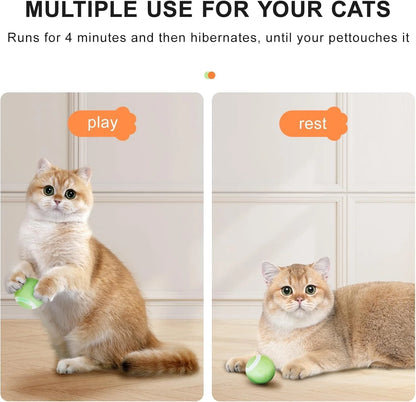 SEALON Electric Interactive Cat Toy Ball,Indoor Cat Play Ball, Suitable for Cats over 6 Months for Exercise, Weight Loss, and Fun