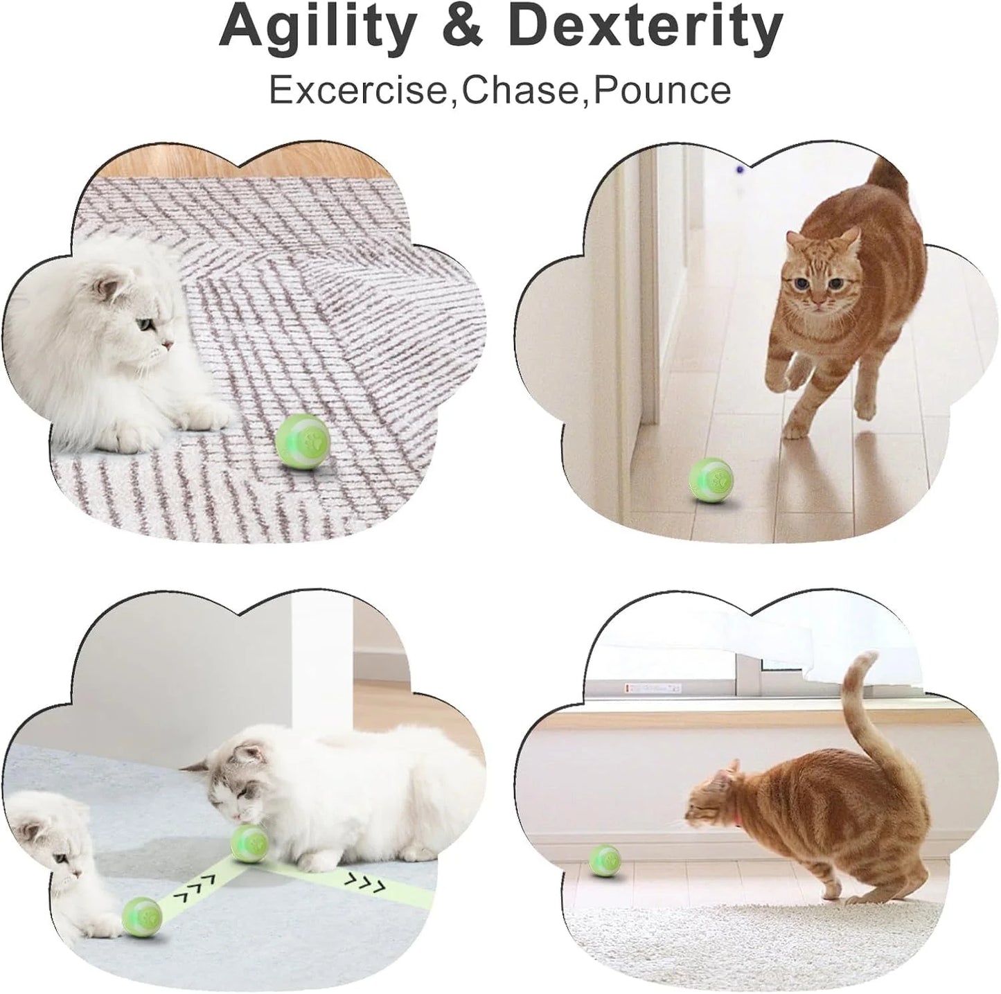 SEALON Electric Interactive Cat Toy Ball,Indoor Cat Play Ball, Suitable for Cats over 6 Months for Exercise, Weight Loss, and Fun